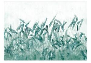 Fototapeta - Blue Ears of Wheat