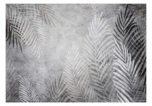 Fototapeta - Palm Trees in the Dark