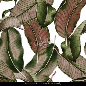 Fototapeta Tropické listy v podzimních barvách Samolepící 250x250cm