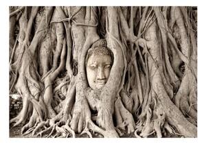 Fototapeta - Buddha's Tree