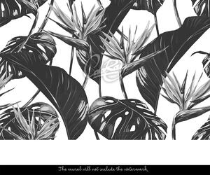 Fototapeta Monochromatický tropický list Samolepící 250x250cm