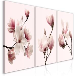 Obraz - Spring Magnolias (3 Parts)
