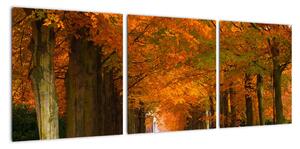 Obraz - cesty lesem na podzim (90x30cm)