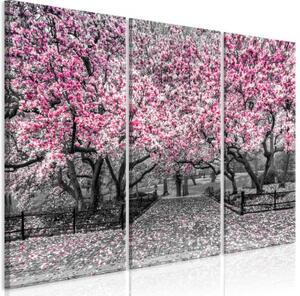 Obraz - Magnolia Park (3 Parts) Pink
