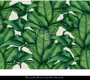 Fototapeta Popínavá tropických listů Samolepící 250x250cm
