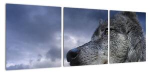 Obraz vlka (90x30cm)