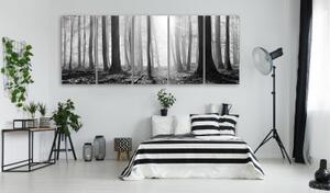 Obraz - Monochrome Forest