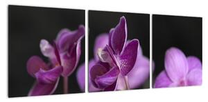 Obraz květů (90x30cm)