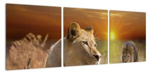 Obrazy zvířat (90x30cm)