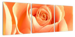 Obraz oranžové růže (90x30cm)