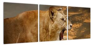 Obraz řvoucího lva (90x30cm)
