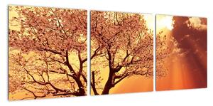 Obraz přírody - strom (90x30cm)