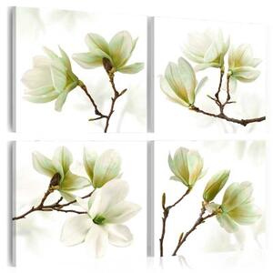 Obraz - Admiration of Magnolia