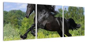 Obraz koně (90x30cm)