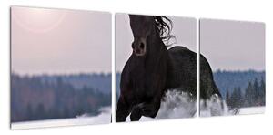 Obraz koně ve sněhu (90x30cm)