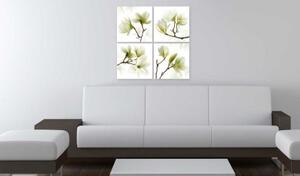 Obraz - Admiration of Magnolia