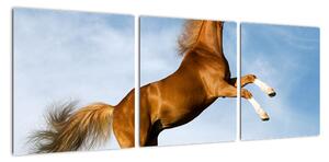 Obraz koně na zadních (90x30cm)