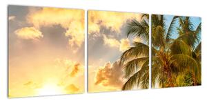Obraz palmy na písečné pláži (90x30cm)