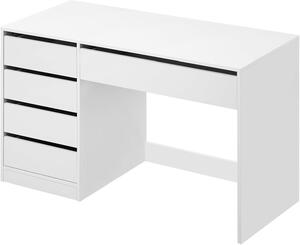 Kosmetický stolek - Toaletní stolek - Pracovní stolek - Stolek s počítačem - Kosmetický stolek - 120x55 cm - 5 zásuvek, úložný prostor