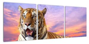 Obraz ležícího tygra (90x30cm)