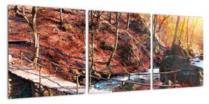 Obraz mostu - podzimní cesta lesem (90x30cm)