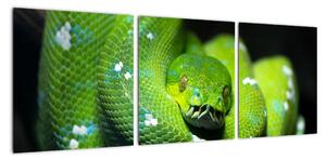 Obraz zvířat - had (90x30cm)
