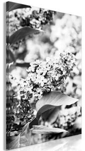 Obraz - Monochrome Lilac (1 Part) Vertical