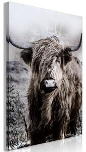 Obraz - Highland Cow in Sepia