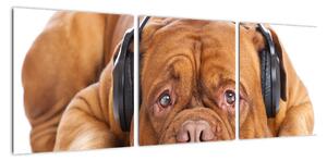Moderní obraz - pes se sluchátky (90x30cm)