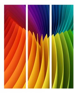 Paraván syté barvy Velikost (šířka x výška): 225x172 cm