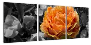 Oranžový květ na černobílém pozadí - obraz (90x30cm)