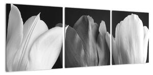 Černobílý obraz - tři tulipány (90x30cm)