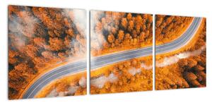 Cesta lesem - moderní obrazy na zeď (90x30cm)