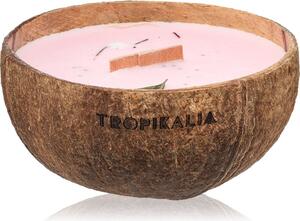 Tropicandle Frozen Cranberry vonná svíčka s dřevěným knotem 350 ml