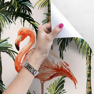 Fototapeta Flamingos skryté v listech Samolepící 250x250cm