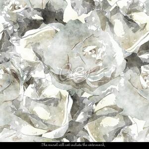 Fototapeta Abstrakce na téma bílých růží Samolepící 250x250cm