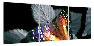 Motýl na listu - obraz (90x30cm)