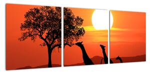 Obraz žirafy při západu slunce (90x30cm)