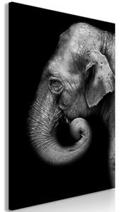 Obraz - Portrait of Elephant (1 Part) Vertical