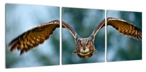 Obraz letící sovy (90x30cm)