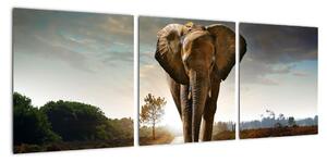 Obraz kráčejícího slona (90x30cm)
