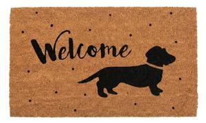 Kokosová rohožka s jezevčíkem a nápisem Welcome – 75x45 cm