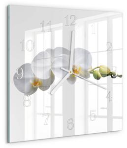 Skleněné hodiny Orchidej zskb-30x30-00082091