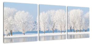Obraz - zimní příroda (90x30cm)