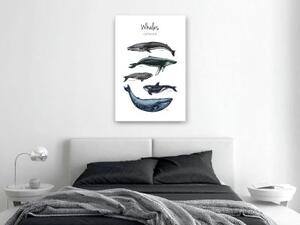 Obraz - Whales (1 Part) Vertical