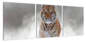 Obraz běžícího tygra (90x30cm)