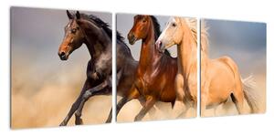 Moderní obraz koní (90x30cm)