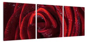 Obraz rudé růže (90x30cm)