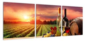 Obraz - víno a vinice při západu slunce (90x30cm)