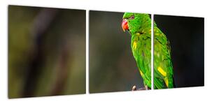 Obraz zeleného papouška (90x30cm)